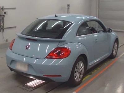 Volkswagen THE BEETLE