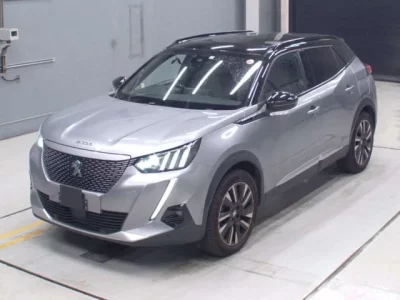 Peugeot E-2008