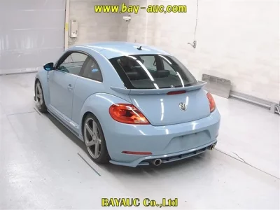 Volkswagen THE BEETLE