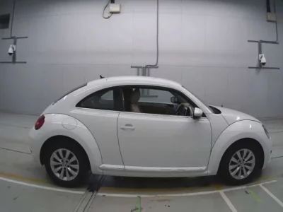 Volkswagen THE BEETLE