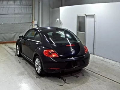 Volkswagen THE BEETLE