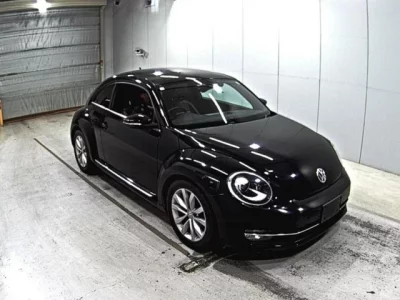 Volkswagen THE BEETLE