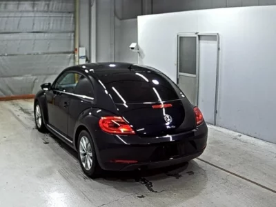 Volkswagen THE BEETLE
