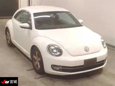 Volkswagen THE BEETLE