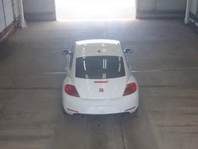Volkswagen THE BEETLE