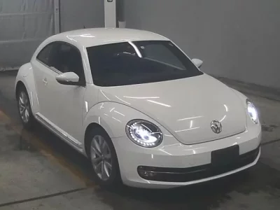 Volkswagen THE BEETLE