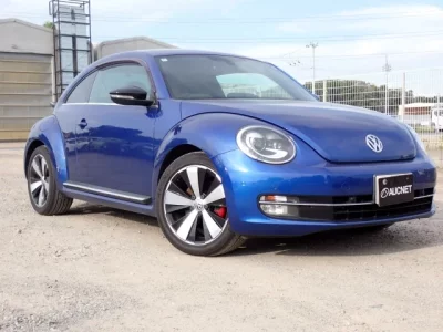 Volkswagen THE BEETLE