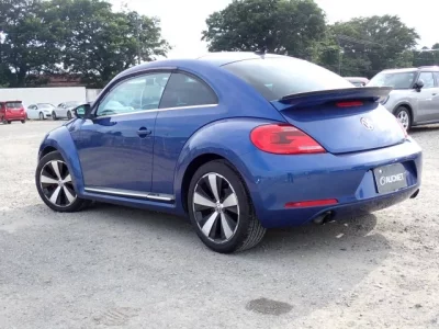 Volkswagen THE BEETLE