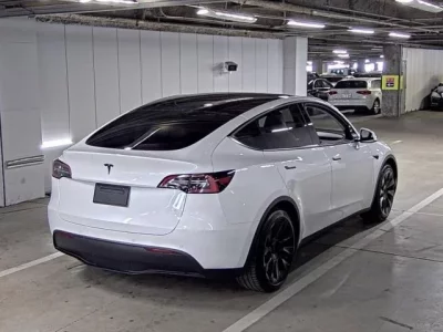 Tesla MODELY