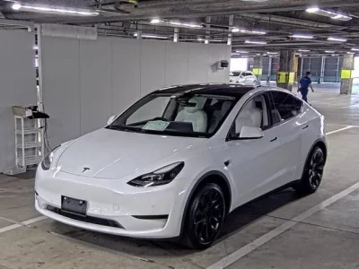 Tesla MODELY