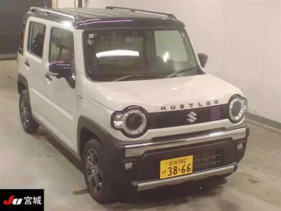 Suzuki HUSTLER