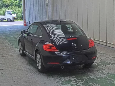 Volkswagen THE BEETLE