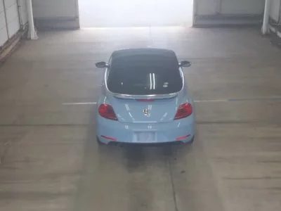 Volkswagen THE BEETLE