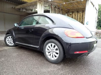 Volkswagen THE BEETLE