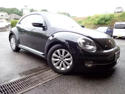 Volkswagen THE BEETLE