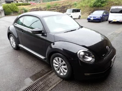 Volkswagen THE BEETLE