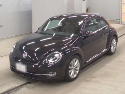 Volkswagen THE BEETLE