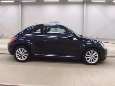 Volkswagen THE BEETLE