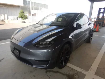Tesla MODELY