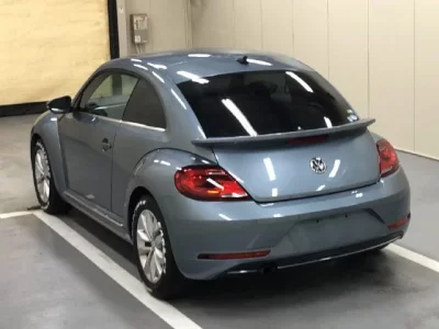 Volkswagen THE BEETLE
