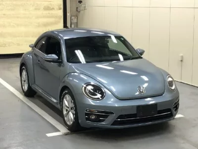 Volkswagen THE BEETLE