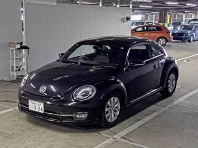 Volkswagen THE BEETLE