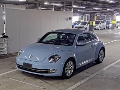 Volkswagen THE BEETLE