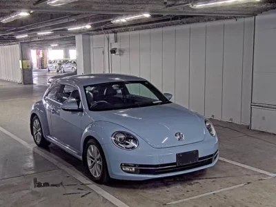 Volkswagen THE BEETLE