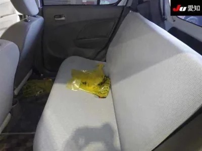 Suzuki ALTO ECO