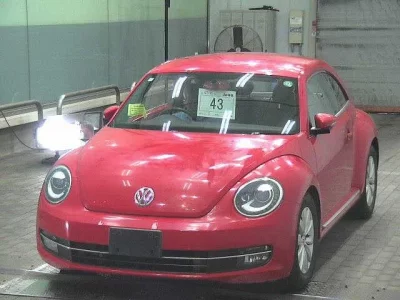 Volkswagen THE BEETLE