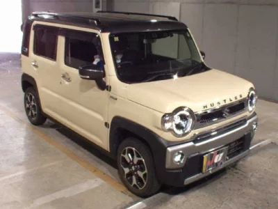 Suzuki HUSTLER