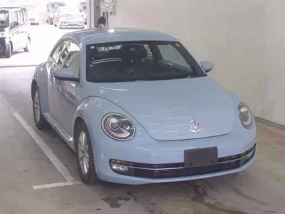 Volkswagen THE BEETLE