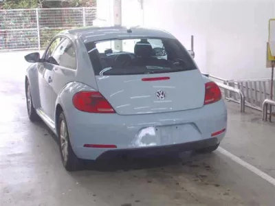 Volkswagen THE BEETLE