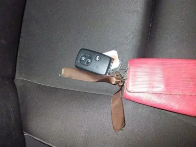 Toyota SAI