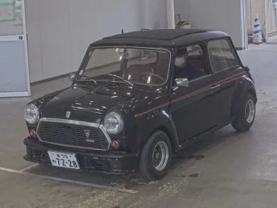Rover MINI