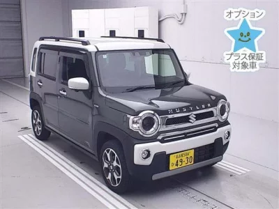 Suzuki HUSTLER