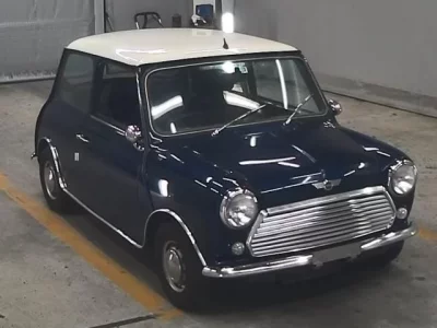 Rover MINI