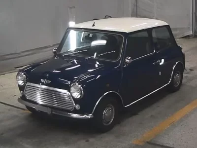 Rover MINI