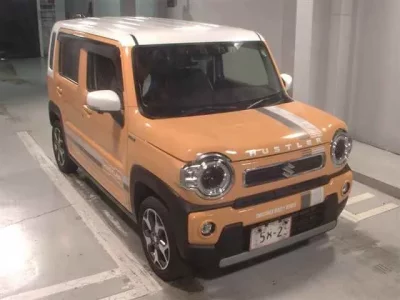 Suzuki HUSTLER