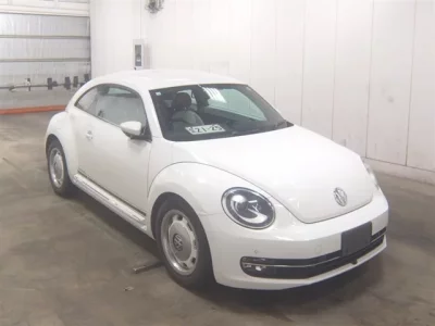 Volkswagen THE BEETLE