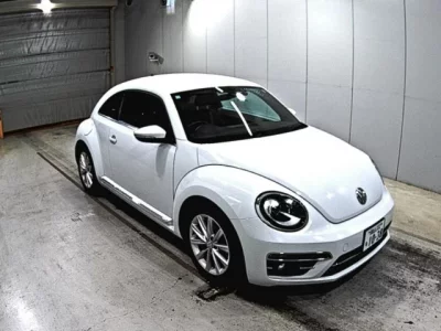 Volkswagen THE BEETLE