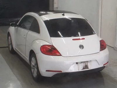 Volkswagen THE BEETLE