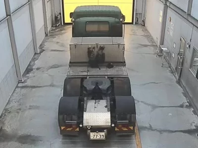 Isuzu TRUCK