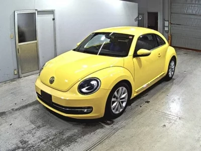 Volkswagen THE BEETLE