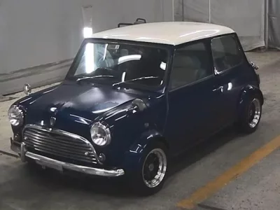 Rover MINI
