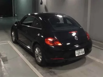 Volkswagen THE BEETLE