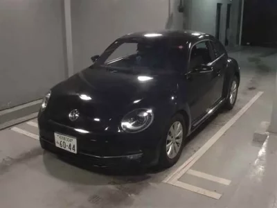 Volkswagen THE BEETLE