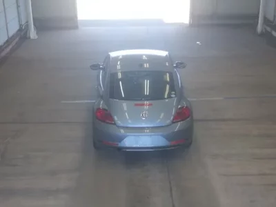 Volkswagen THE BEETLE