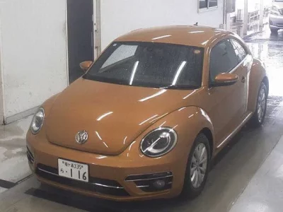 Volkswagen THE BEETLE