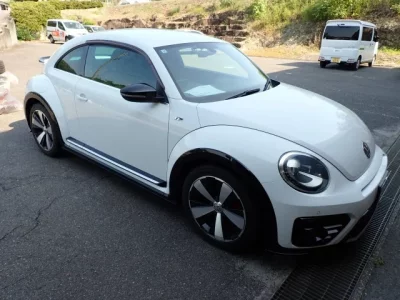 Volkswagen THE BEETLE